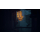 PlayStation Stray - 1056376 - zdjęcie 5